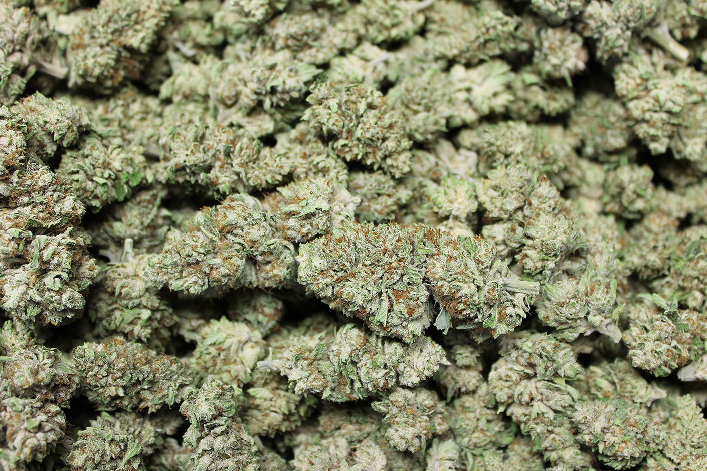White CBG greenhouse grown hemp flower
