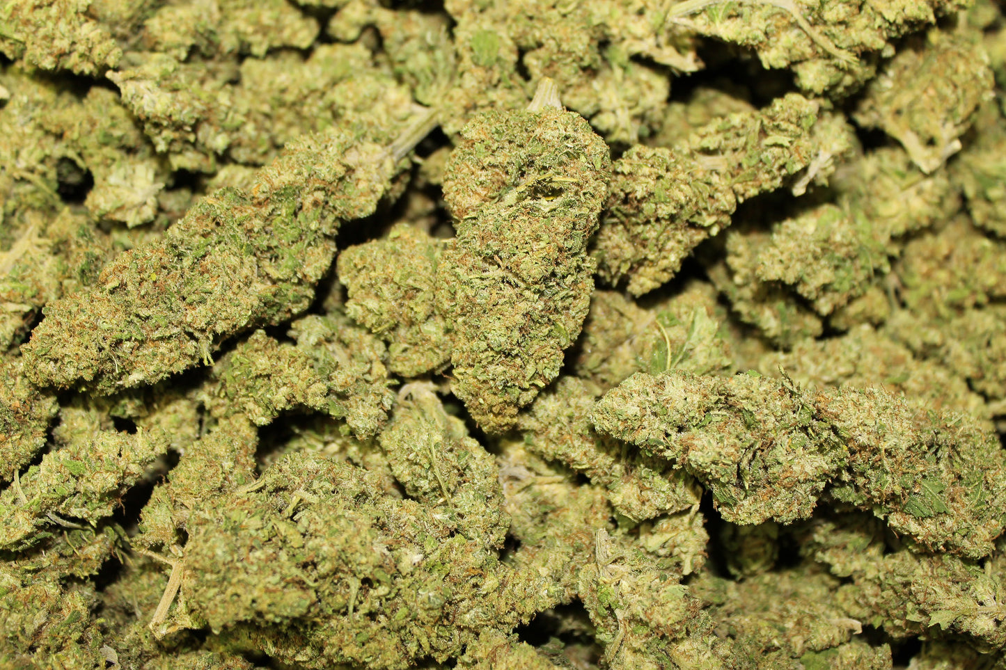 Sour Candy Kush CBD - Pacific Sensi