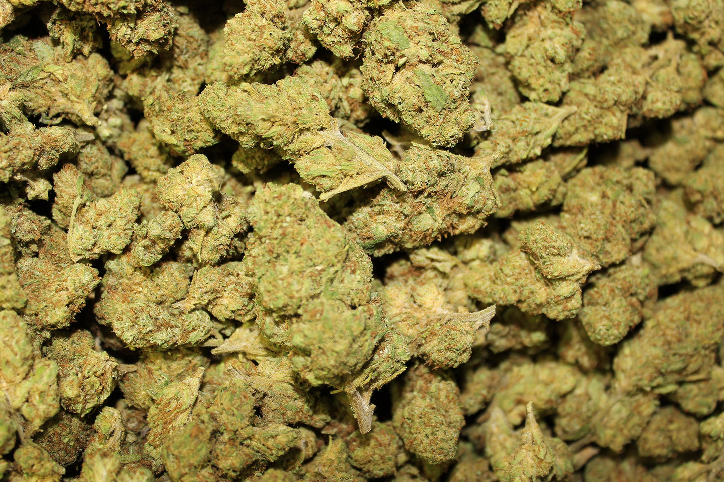 Sour Suver Haze CBD - Pacific Sensi