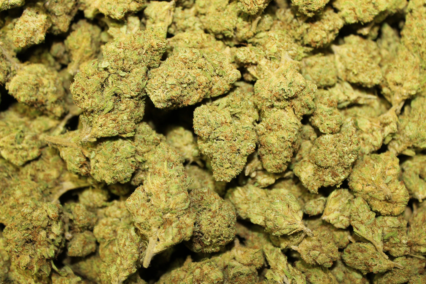 Sour Special Sauce CBD - Pacific Sensi