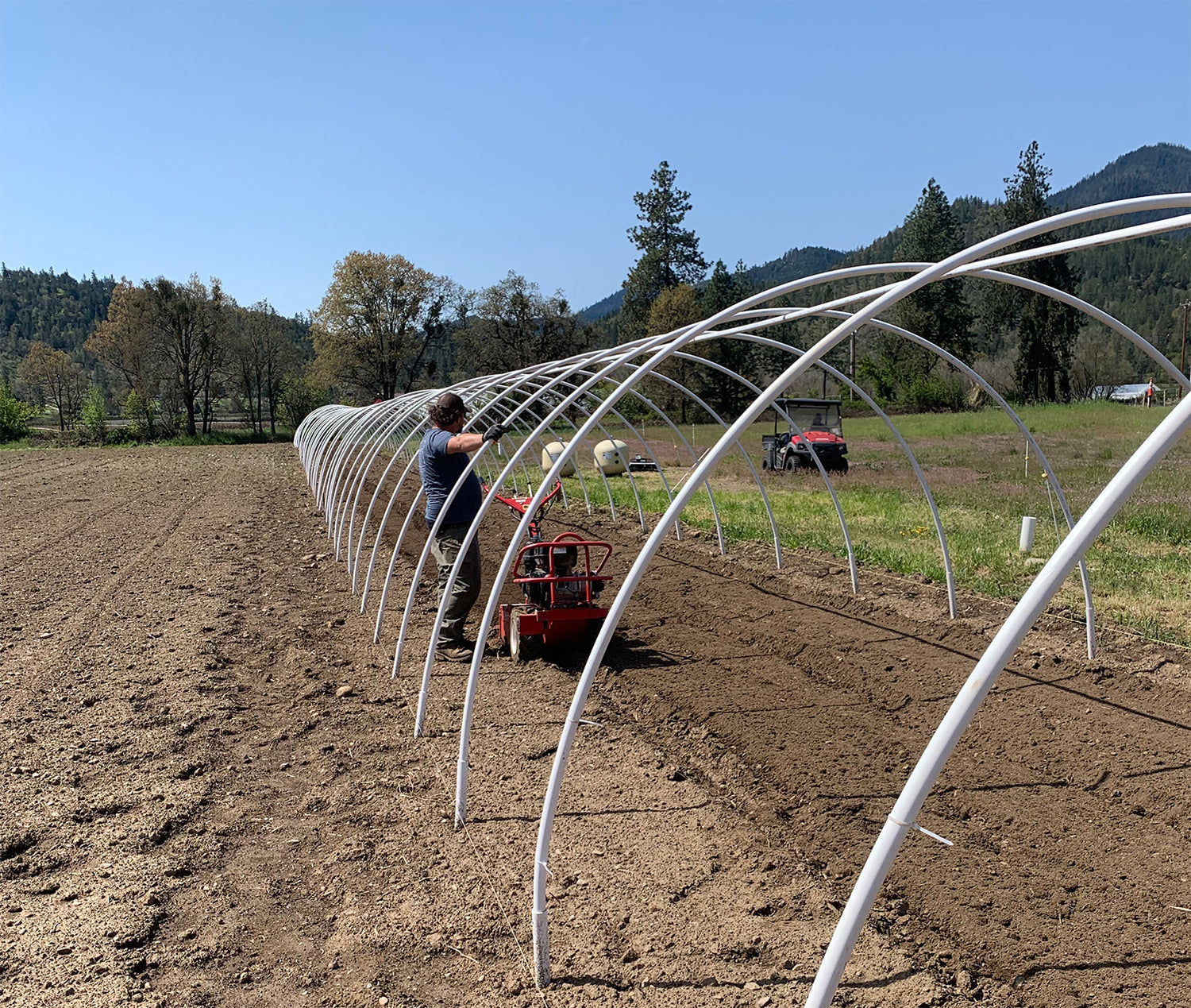 Getting ready to plant!